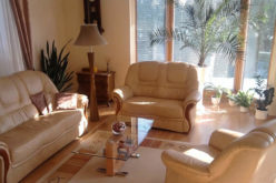 <span>Sunday Morning Tip for Nov 11:</span> Winter Renovations: 5 Ways to Give Your Home a More Natural Feel