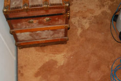 Flooded Basement? How to Stay Above Water