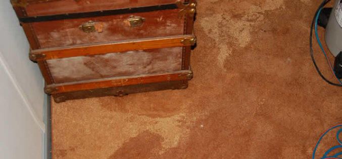 Flooded Basement? How to Stay Above Water