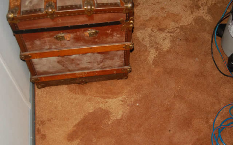 Flooded Basement? How to Stay Above Water