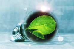 5 Ways to Save Money On Your Electric Bill During the Hot Summer Months