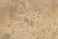 Three Tips to Prevent Mold and Moisture in Winter
