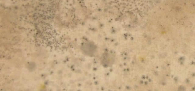 Three Tips to Prevent Mold and Moisture in Winter