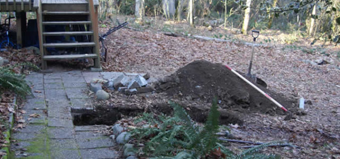 Use a Septic System? 4 Ways to Keep Your Tank in Tip-Top Shape