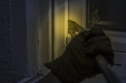 <span>Sunday Morning Tip for Jan 06:</span> Afraid of Theft? How to Ensure Burglars Will Hate Your Home