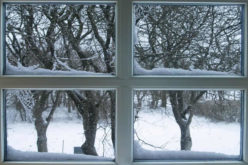 4 Ways to Improve Home Insulation and Save Energy