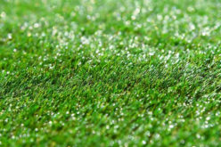 5 Benefits of Installing Synthetic Grass at Your Home