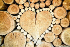 Things to Buy in Bulk for Your House