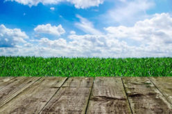 Listing Your Home This Spring? 4 Backyard Additions for Increased Resale Value
