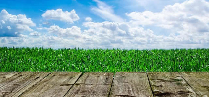Listing Your Home This Spring? 4 Backyard Additions for Increased Resale Value