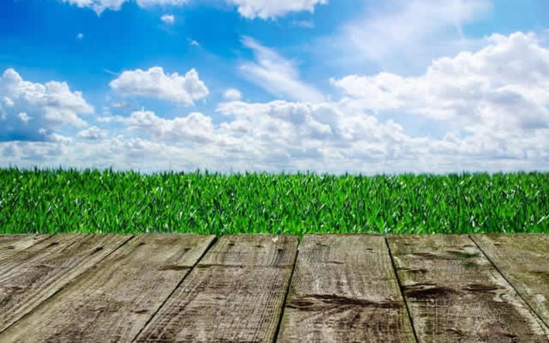 Listing Your Home This Spring? 4 Backyard Additions for Increased Resale Value