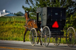 Rising Trends of the Amish Decor Today