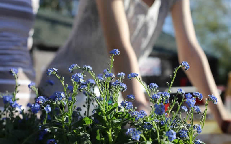 3 Ways To Make Your Yard Look Awesome This Summer