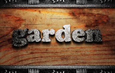 Decorating The Garden