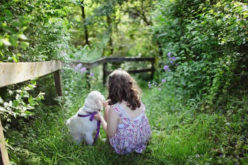 How to Fall in Love with Your Backyard All Over Again