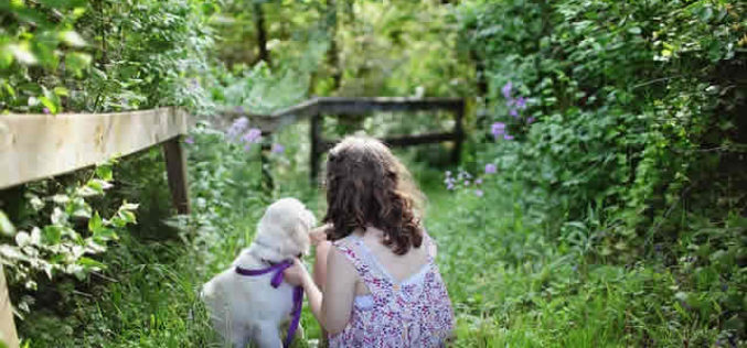 How to Fall in Love with Your Backyard All Over Again