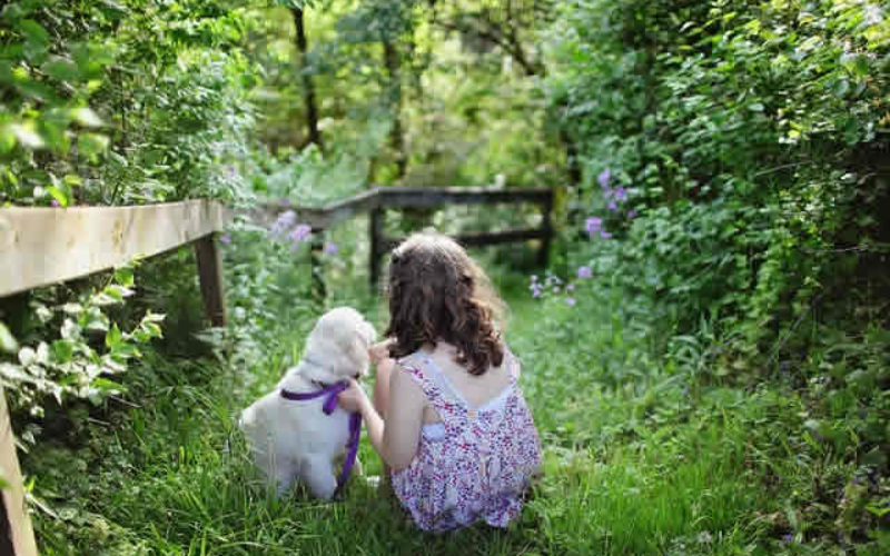 How to Fall in Love with Your Backyard All Over Again