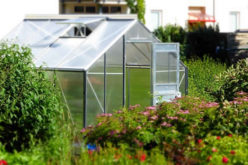 3 Types of Greenhouses that will Suit Any Type of Gardener