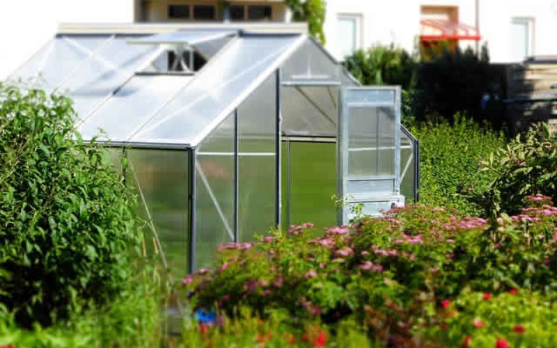 3 Types of Greenhouses that will Suit Any Type of Gardener