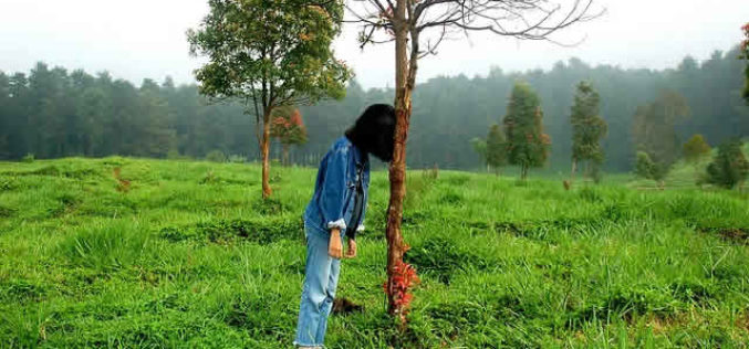 <span>Sunday Morning Tip for May 05:</span> Designing the Perfect Outdoor Space in 4 Easy Steps
