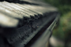 Maintaining Your Outdoor Space: Roof and Gutter Repairing & Cleaning