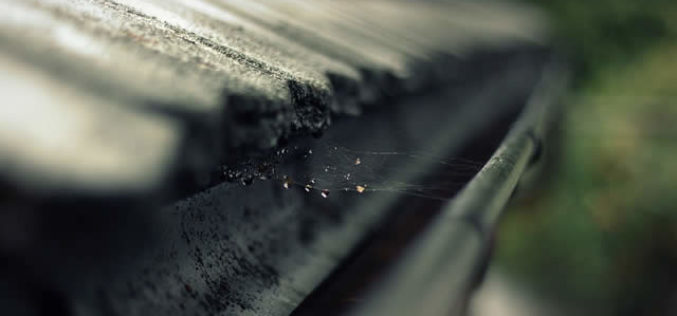 Maintaining Your Outdoor Space: Roof and Gutter Repairing & Cleaning