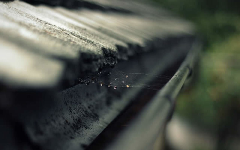 Maintaining Your Outdoor Space: Roof and Gutter Repairing & Cleaning
