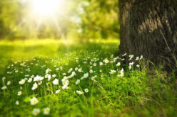 Prepare Your Home For Summer With This Simple Guide