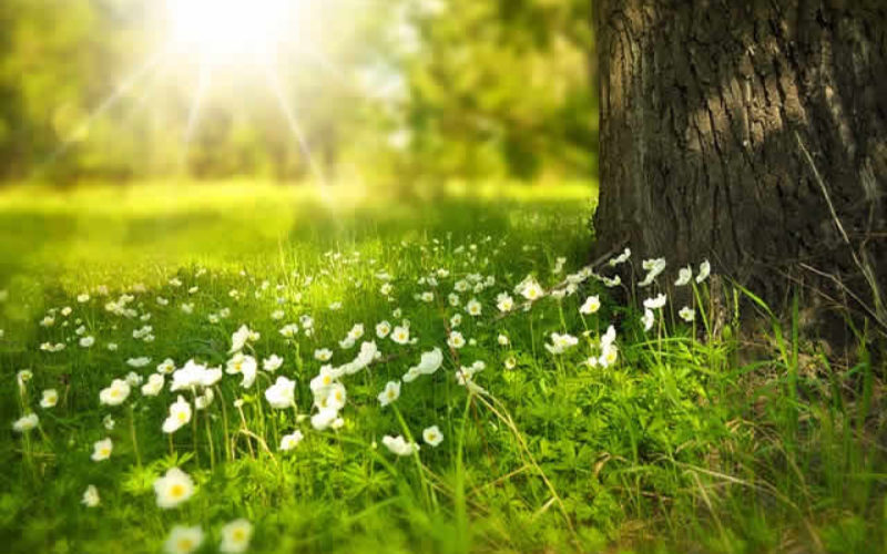 Prepare Your Home For Summer With This Simple Guide