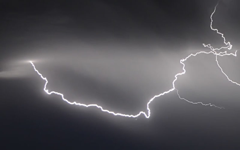 <span>Sunday Morning Tip for July 28:</span> 3 Gardening Tips for Recovering from a Severe Storm