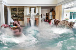 How to Redo and Restore Your Home after a Flood