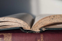 Clean the Debris: How to Renovate Your Den