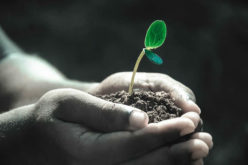 The Fascinating World of Soil