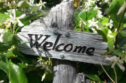 <span>Sunday Morning Tip for Aug 04:</span> 4 Home Upgrades to Enjoy Before Summer Ends
