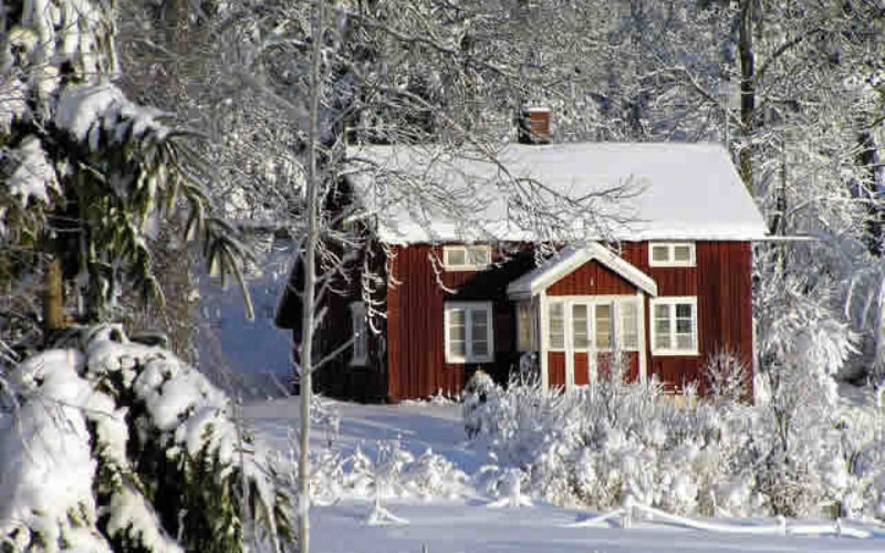 Is Your Roof Ready for Winter? 4 Steps to Prepare