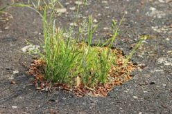 Locating the Right New York Asphalt Pavement Contractor