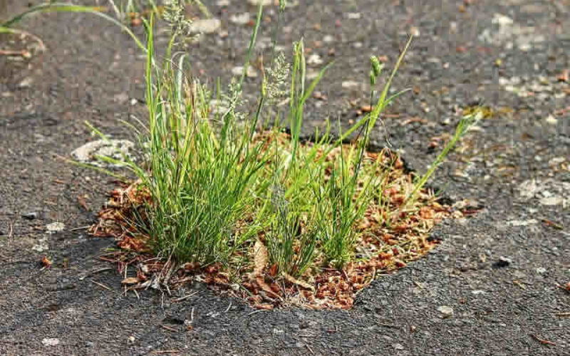 Locating the Right New York Asphalt Pavement Contractor