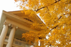 Autumnal Upkeep: Fall Home Maintenance Checklist