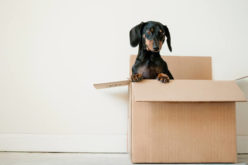 How to Make Moving to a New Place Easier
