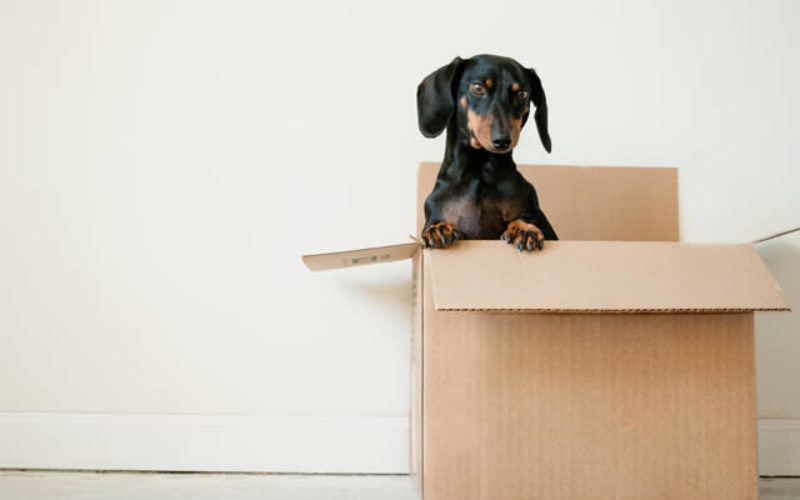 How to Make Moving to a New Place Easier