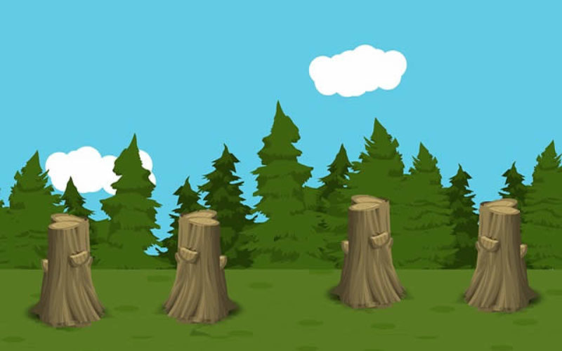 Best Stump Grinding Company