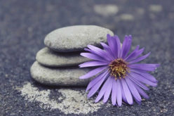 8 Ways to Get a Zen Living Room