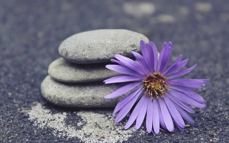 8 Ways to Get a Zen Living Room