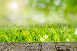 4 Ways to Get the Most Out of Your Backyard