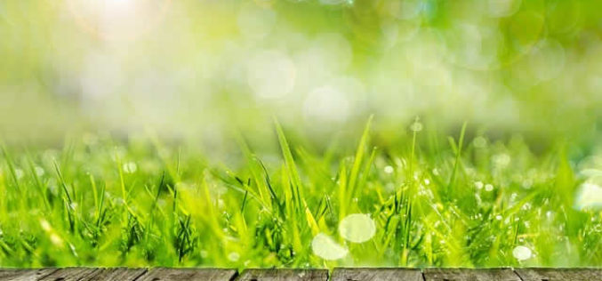 4 Ways to Get the Most Out of Your Backyard