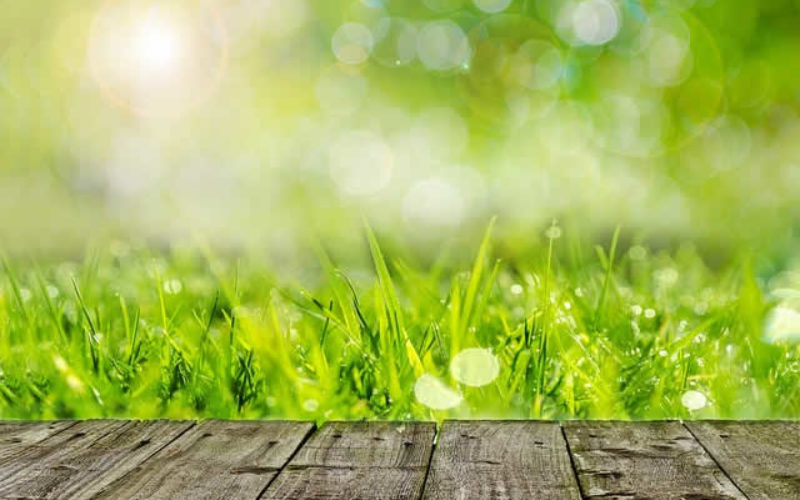 4 Ways to Get the Most Out of Your Backyard