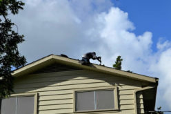 <span>Sunday Morning Tip for Nov 03:</span> Bought a Fixer-Upper: The First 5 Things You Need to Fix