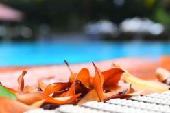 Tools to Use in Pool Cleaning La Verne