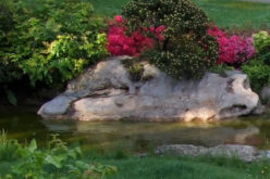 4 Ways to Augment Your Landscape with Water