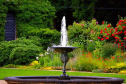 These 6 Types of Fountains Looks Best for Small Gardens